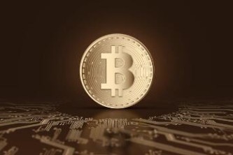 pig币下载地址在哪里？pig币交易所官方APP